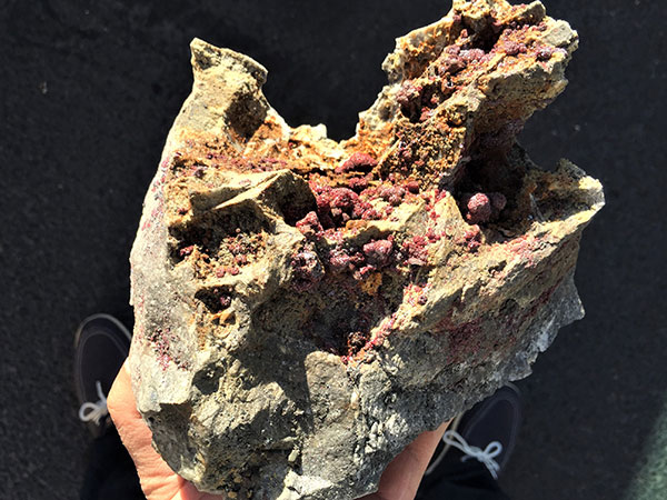 新矿物-2014美国图桑矿物宝石展Tucson Mineral&Gem Show