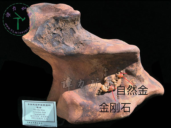 含金刚石和自然金的砾岩，巴西，米纳斯吉拉斯州