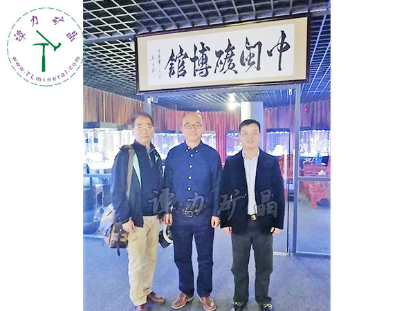 业内精英