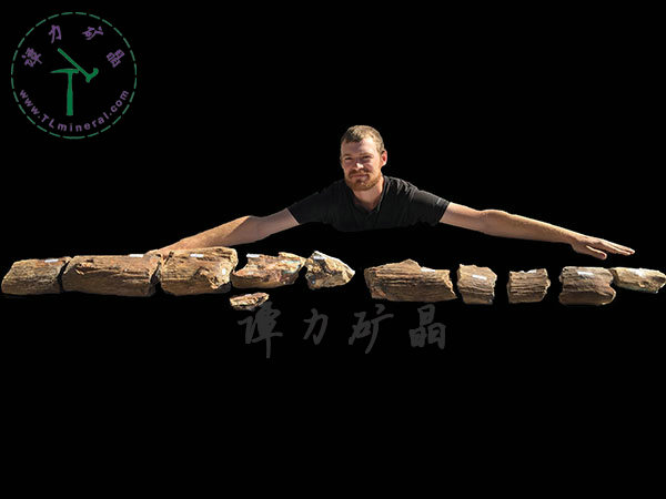 基尼斯之最-欧泊王，210cm,澳大利亚