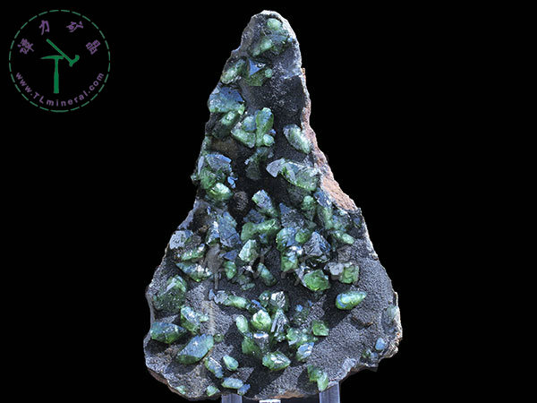 磷酸盐--板磷铁矿Ludlamite15x12x3cm,巴西
