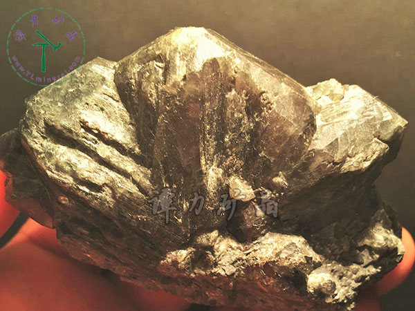 亚历山大石（变石）轮式双晶+津巴布韦，12x10x5.0(钨丝白炽灯下拍摄)