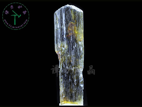 顽火辉石,缅甸，5.5x2.0x0.6cm