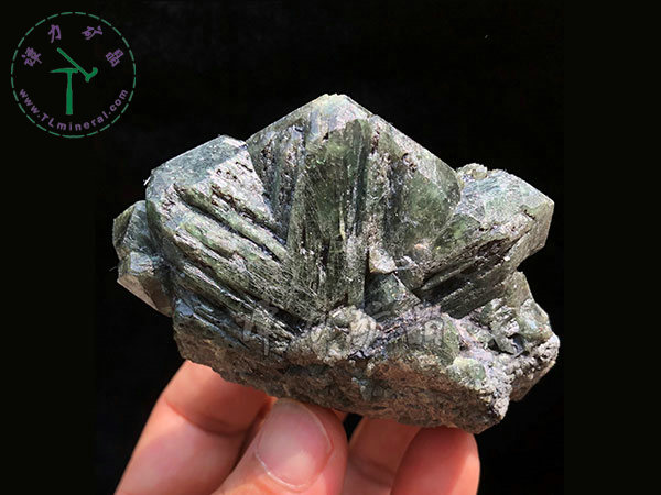 亚历山大石（变石）轮式双晶+津巴布韦，12x10x5.0(阳光下拍摄)