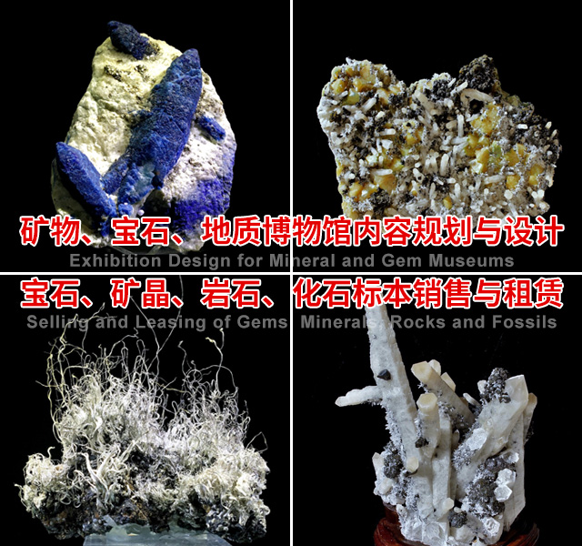 长沙市谭力矿产品有限公司_宝石矿晶标本|博物馆建设与咨询