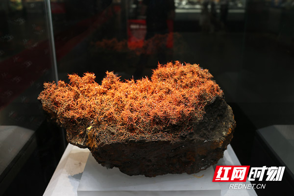 谭力矿晶-矿物标本,矿物晶体,地质标本,宝石标本,矿晶 谭力矿晶-矿物标本,矿物晶体,地质标本,宝石标本,矿晶