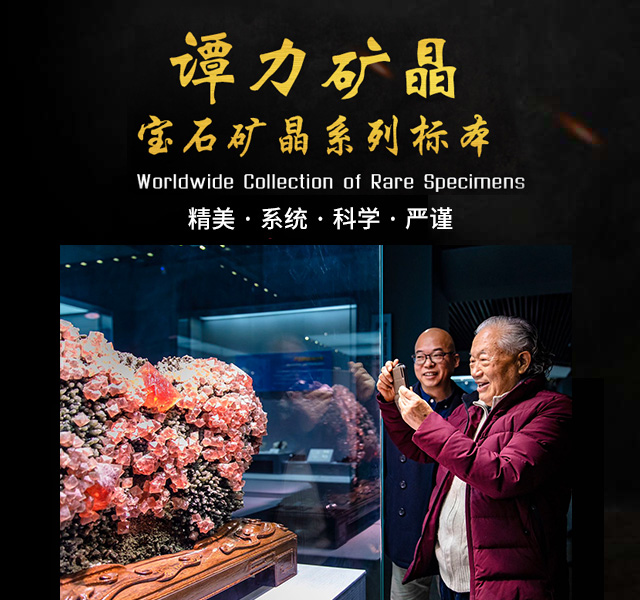 长沙市谭力矿产品有限公司_宝石矿晶标本|博物馆建设与咨询